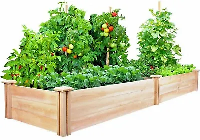 Essential Survival Kit Perfect Vegetable Garden Save Seeds 5 Varieties FREE SHIP • $11.99