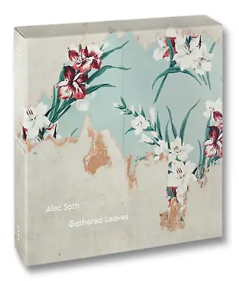 $200 • Buy Signed Alec Soth - Gathered Leaves (sleeping, Broken Manual, Niagara, Songbook)