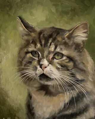 Original Handmade Oil Painting “Basik Cat” On Canvas Pad 8х10in • £50