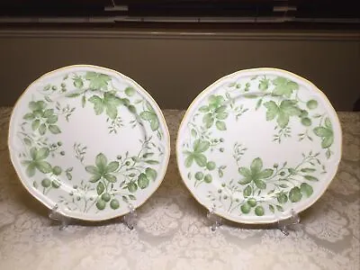 Villeroy & Boch Parkland Green China Home Collection Dinner Plate Set 2 -10.5” • $89.99