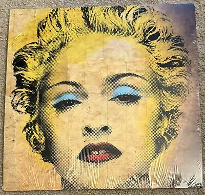 Madonna Celebration Official Lithograph New Sealed 2024 Only 500 Made • $12.99