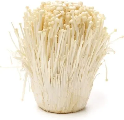 Enoki Mushroom Spawn Mycelium Grow Gourmet & Medicinal Mushroom 5 Gal (Winter) • $8.95