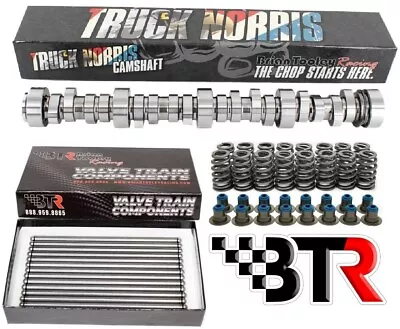 Brian Tooley Racing (BTR) TRUCK NORRIS LS Silverado Sierra Truck Cam Kit 5.3 6.0 • $514.06