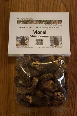 2oz Dried Morel Mushrooms Top Grade Short Stem Pacific Northwest Premium Quality • $20.85