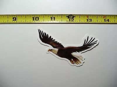 Bald Headed Eagle Decal Sticker Zoo Animal Wild Cute Fun • $2.64