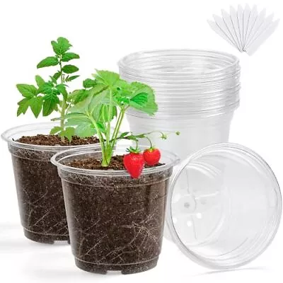 Clear Nursery Pots For Plants 5  Pot For Planting Plastic Seedling Pots15-Pack • $21.27