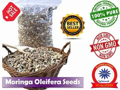 £5.12 • Buy Moringa Oleifera Seeds 100% Natural Raw Organic Herb Non-Gmo Vitamins Immune