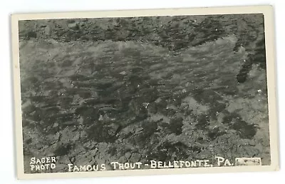 RPPC Fish Hatchery Famous Trout BELLEFONTE PA Centre County Real Photo Postcard • $4.99