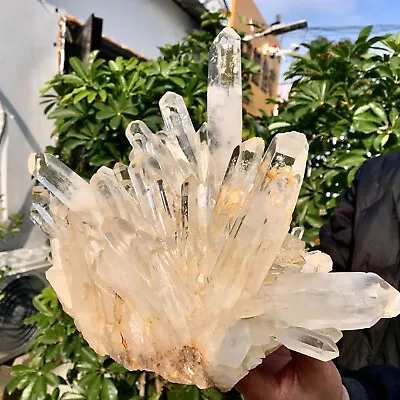 18.43LB A+++Large Natural White Crystal Himalayan Quartz Cluster /mineralsls • $163.50