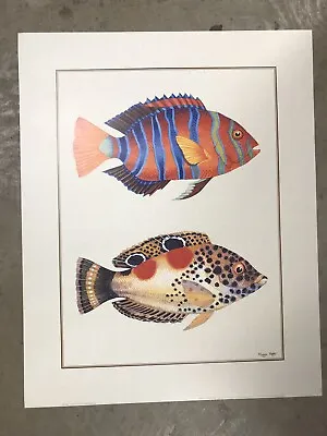 Vintage 1993 Poster By Maggie Riegler Art Print Tropical Fish 1 Nautical 16”x20” • $14