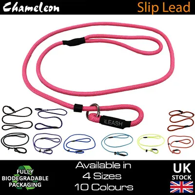 Slip Lead Leash Rope Dog Puppy Pet  No Collar Needed 4sizes 1.2m Strong Nylon • £4.25