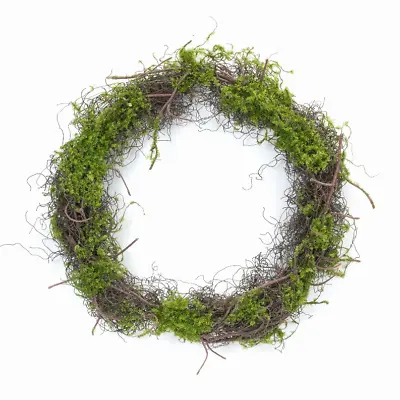 Moss Wreath (Set Of 4) 17.5 D Plastic • $104.69