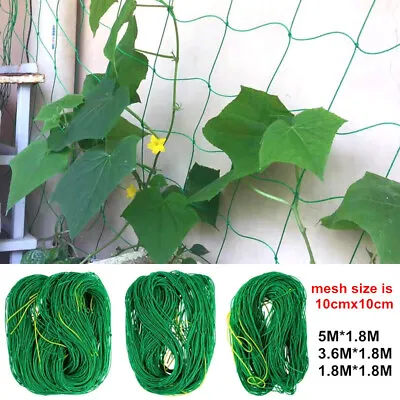 £7.39 • Buy Plant Support Netting Fruit Climbing Mesh Garden Vegetable Pea Bean Grow Fence