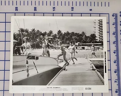 BLUE HAWAII Original Movie Press Photo 1961 Elvis Presley • $29