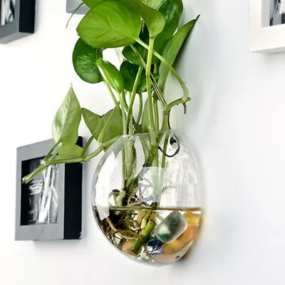 Wall Hanging Planter Glass Hydroponic Vase Plant Terrarium Ball Flower Pot 4'' • £6.38