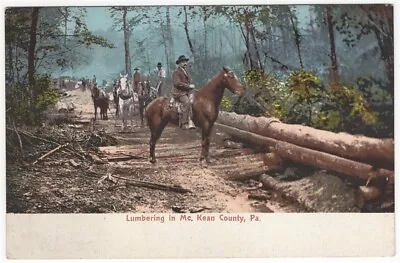 McKean County Pa Lumbering Antique Postcard Pennsylvania • $9.99