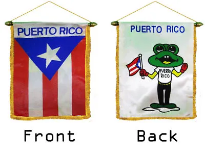 Coqui Puerto Rico MINI BANNER FLAG FOR CAR & HOME WINDOW MIRROR HANGING 2 SIDED • $6.59