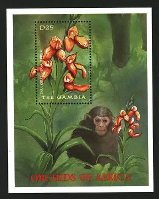 Gambia Stamps Sheet Orchids Of Africa Flowers Monkey #11992 • $1.49