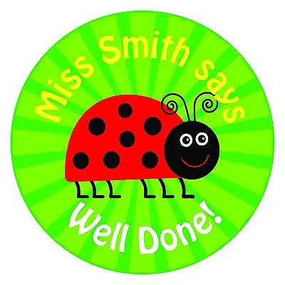 80 Personalised Teacher / Parent Reward Stickers For Pupils Green Ladybird • £2.99