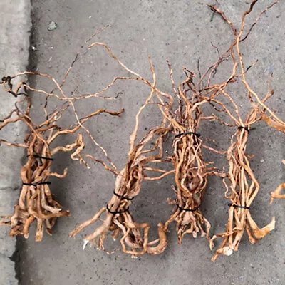 £9.39 • Buy Natural Driftwood Root Trunk Tree Aquarium Fish Tank Micro Landscape Plant Art