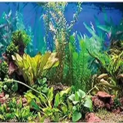 48x18 Inch Aquarium Background Aquatic Plant River Bed Lake Fish Tank Background • $13.99