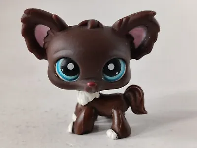 Hasbro LPS Littlest Pet Shop Brown Chihuahua #219 Authentic Free Shipping  • £12.99