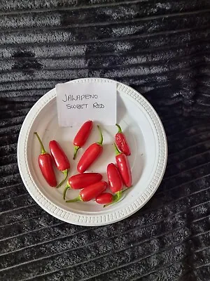 Jalapeno Sweet Red Chilli Seeds X 12 • £2.50