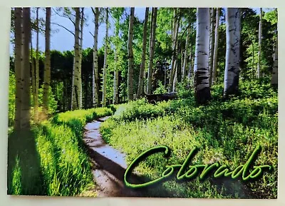 $2.99 • Buy Postcard CO: Aspen Trees Near Vail, Colorado.