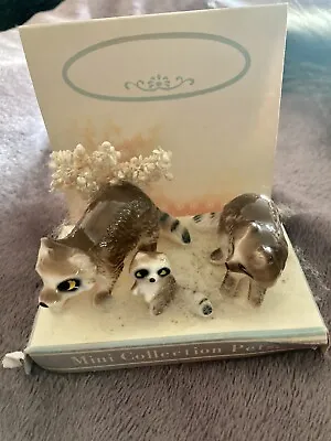 Vintage Mini Collection Pets Raccoon Family Bone China Original Display • $16.99