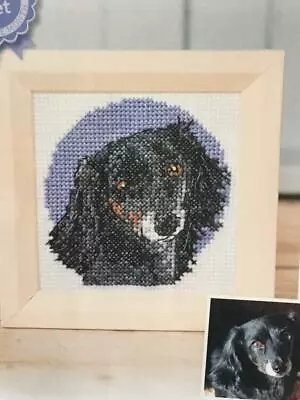 Cross Stitch Dachshund Chart To Make Chart Removed From Uk Magazine • $1.60