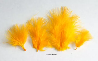 Marabou Feathers Small 1-3  Fluffs GOLD 7 Grams Approx. 105 Per Bag • $2.65