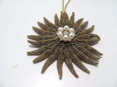 Hand Decorated Mexican Sunflower Starfish Ornament • $9.99