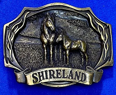 Horse & Colt Shireland  Western Framed Vintage Illinois Theme Park Belt Buckle • $8.99