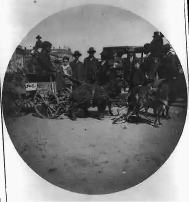 Circular PhotoCart Drawn By 4 GoatsWashingtonD.C.1888-1889menchildren • $9.99