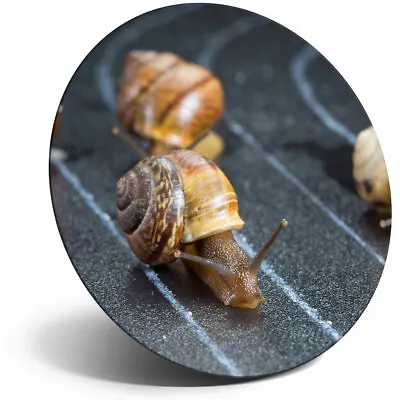 Awesome Fridge Magnet - Racing Snails Race Funny Insect Snail Cool Gift #24221 • £4.99