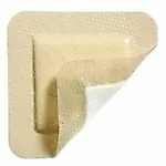 Mepilex Border Lite Dressing 6  X 6  5/Bx • $53.26