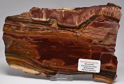 MARRA MAMBA TIGER EYE SLICE Microbialite Mt Brockman Australia S1084 • $161.44