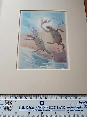 £9.99 • Buy Alice In Wonderland Print - Margaret Tarrant In Card Frame