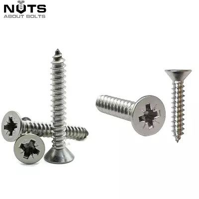 POZI COUNTERSUNK SELF TAPPING SCREWS A2 STAINLESS STEEL TAPPERS No. 4681012 • £89.99