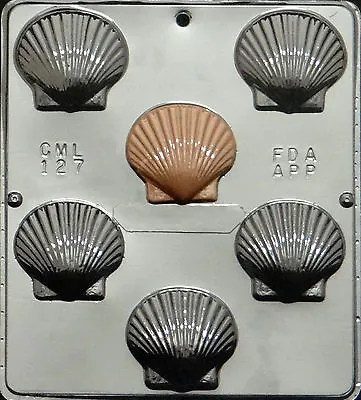 Scallop Seashell Chocolate Candy Mold Candy Making  127 NEW • $6.99