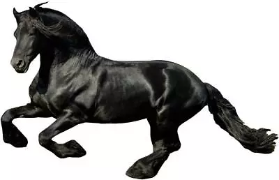BLACK HORSE Decal Removable WALL STICKER Home Decor Art Animals Stallion Huge • £13.20
