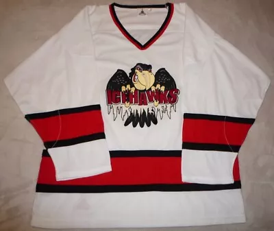 Port Huron Icehawks International Hockey League Hockey Jersey ~ Stitched ~ Large • $49.99