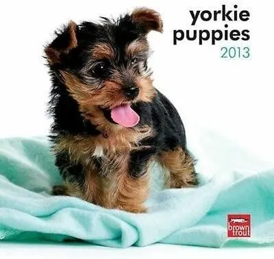 (7x7) Yorkshire Terrier Puppies - 2013 Mini Calendar By Poster Revolution • $11.99