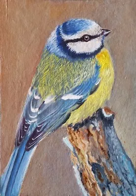  Parus  Oil Painting 6x4  • $25