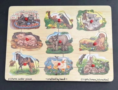$15 • Buy Melissa & Doug Mother & Baby 9-piece Peg Puzzle  #370