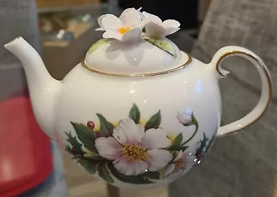£30 • Buy  Royale Stratford Country Cottage Teapot Collection  Floral Lid Christmas Roses