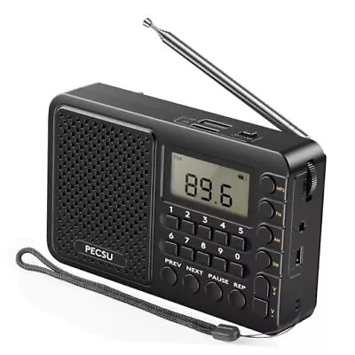 Portable Radio AM FM SW Digital Shortwave Radio With MP3 Player Mini Radio  • $26.43