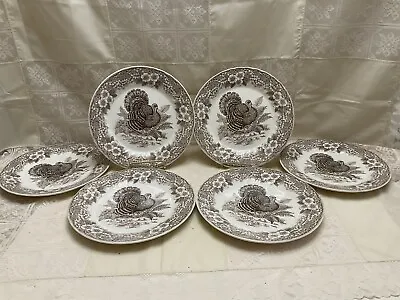 Lot Of 6 Queen’s Myott Brown Thanksgiving  Turkey 10” Dinner Plates EUC • $65