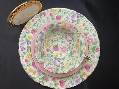 SHELLEY  COUNTRYSIDE CHINTZ  FOOTED OLEANDER  CUP  SAUCER  And 8  PLATE# 13700! • $376.20