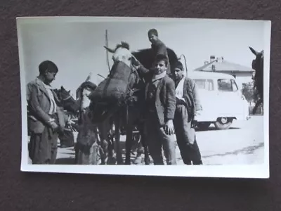 BOYS STANDING BY HORSE WITH FEED BAG OVER IT'S MOUTH Vtg 1950's PHOTO • $4.99